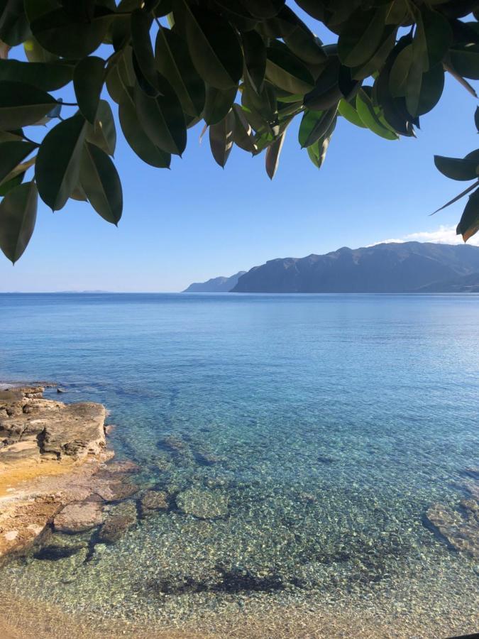 The Island House - Family Size Apt - Overlooking The Aegean - 3 Steps From The Beach มอโคลส ภายนอก รูปภาพ